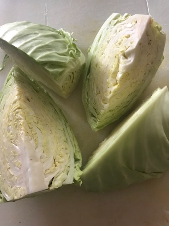 cabbage 7